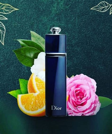 dior addict edt vs edp|dior addict edp 100 ml.